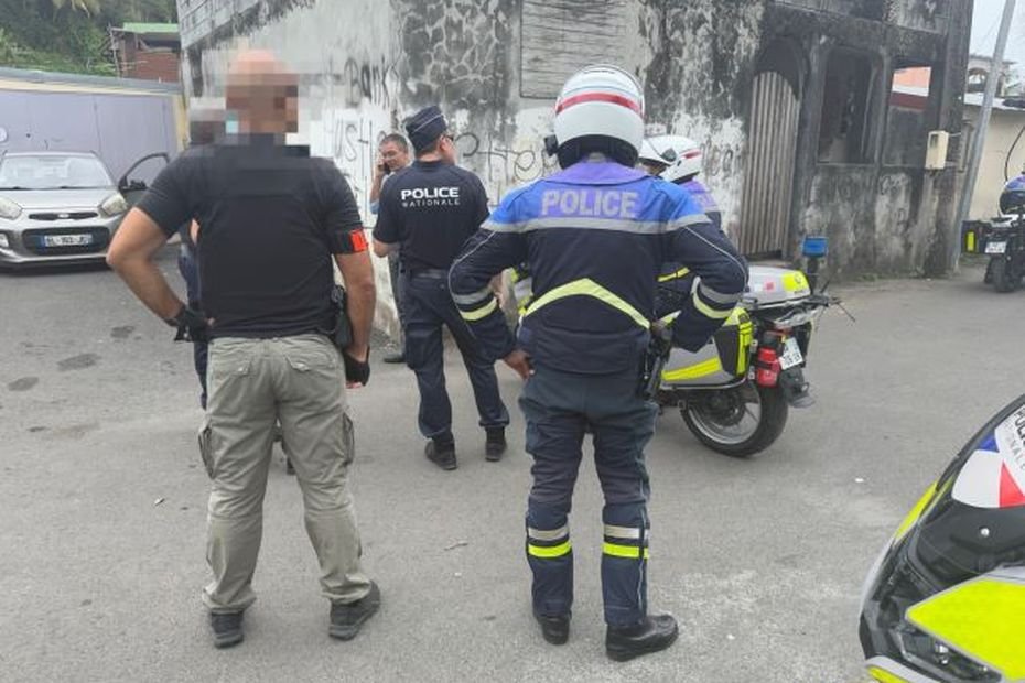 Opérations de la police nationale : une interpellation et une saisie de 895 grammes d'herbe et de 235 grammes de cocaïne à Pointe-à-Pitre