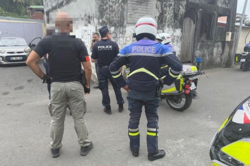 Opérations de la police nationale : une interpellation et une saisie de 895 grammes d'herbe et de 235 grammes de cocaïne à Pointe-à-Pitre