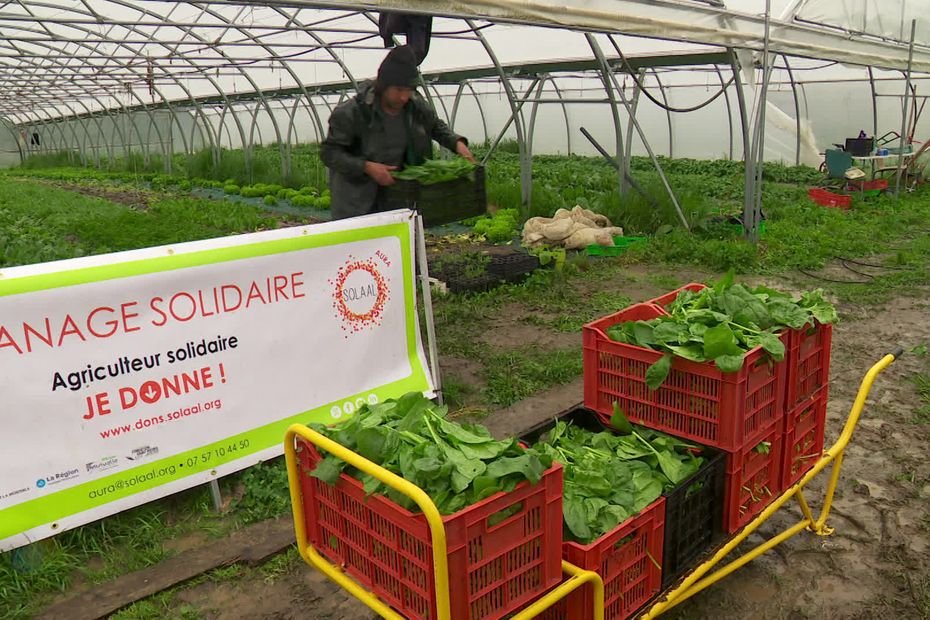 “C’est mieux qu’une boîte de conserve” : les agriculteurs aussi, peuvent faire des dons aux associations d’aide alimentaire