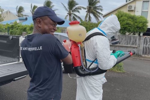 Dengue : face à l'augmentation des cas, les agents de lutte anti-vectorielle mobilisés à Saint-Joseph