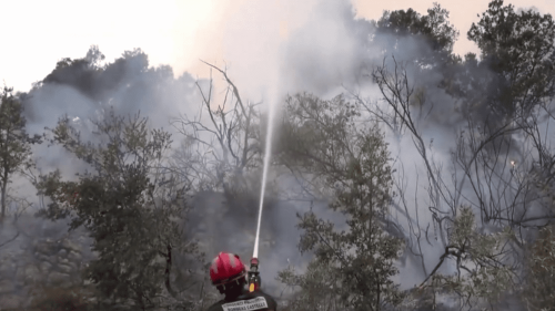 Espagne : les pompiers luttent contre un incendie typique de l’été, en mars