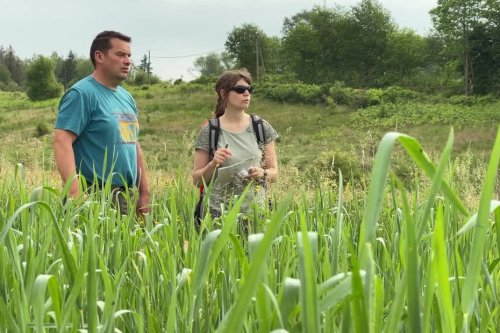 Haute-Vienne : Terre de liens lance une collecte pour racheter une huitième ferme en Limousin