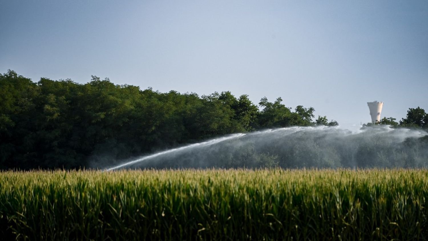 Gestion de l’eau : Greenpeace France dénonce une mainmise des « lobbies agro-industriels » qui profite à « une minorité d’agriculteurs »