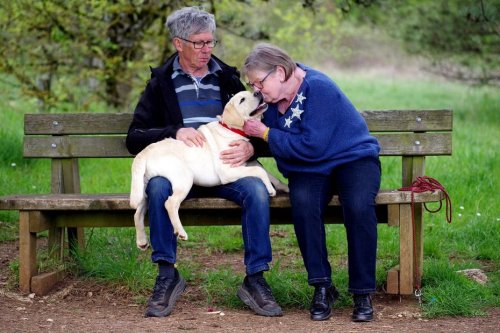 VIDEO. Ils sont famille d’accueil et forment des chiens d’assistance pour les personnes en situation de handicap
