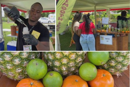Les journées de l’agrobusiness : ils subliment les produits de Guadeloupe !