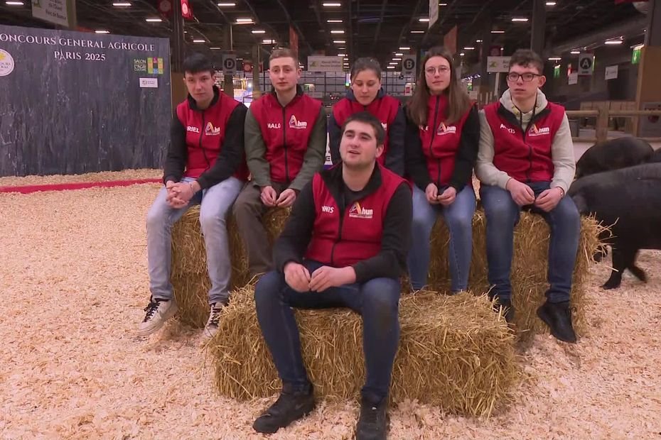 VIDÉO. « Ça nous fait des bons souvenirs » : Au Salon de l’agriculture, ces étudiants veillent sur les animaux du matin au soir