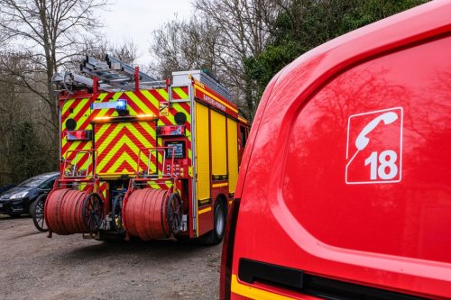Une vingtaine de chiens de traîneau meurent dans un incendie dans la Drôme, l'éleveur blessé