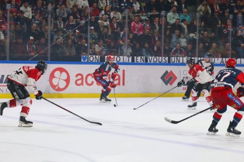 Hockey sur glace : "La plus haute marche reste à franchir", les Brûleurs de Loups se qualifient pour la finale de la Ligue Magnus
