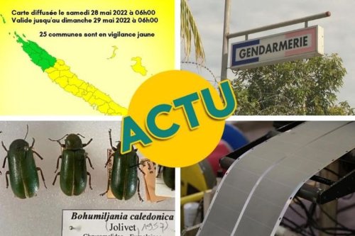Météo, routes, nickel et coléoptères : l'actualité à la 1 du samedi 28 mai 2022