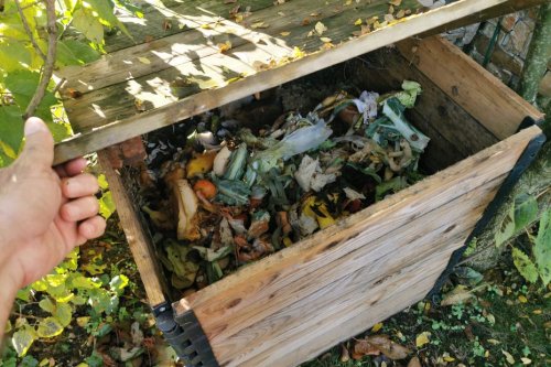 Compost : les gestes à faire et les erreurs à éviter
