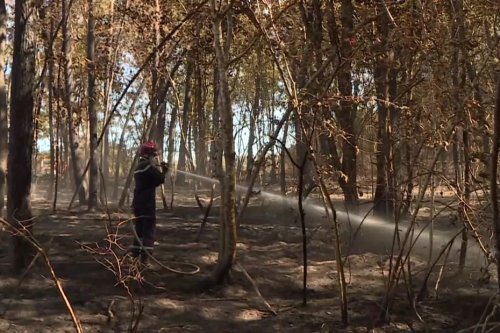 Dordogne : une centaine d'hectares de forêt détruits par deux incendies dans le secteur de La Roche-Chalais