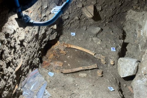VIDÉO. Des corps entiers, des bouts de fémur, de tibia ou de hanche... des ossements découverts dans une église des Alpes-Maritimes
