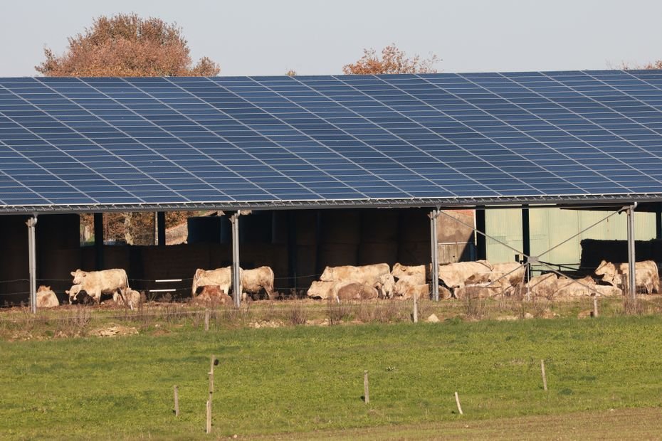 “C’est un couperet qui nous tombe dessus” : des agriculteurs s’inquiètent de la baisse du niveau de soutien aux projets solaires