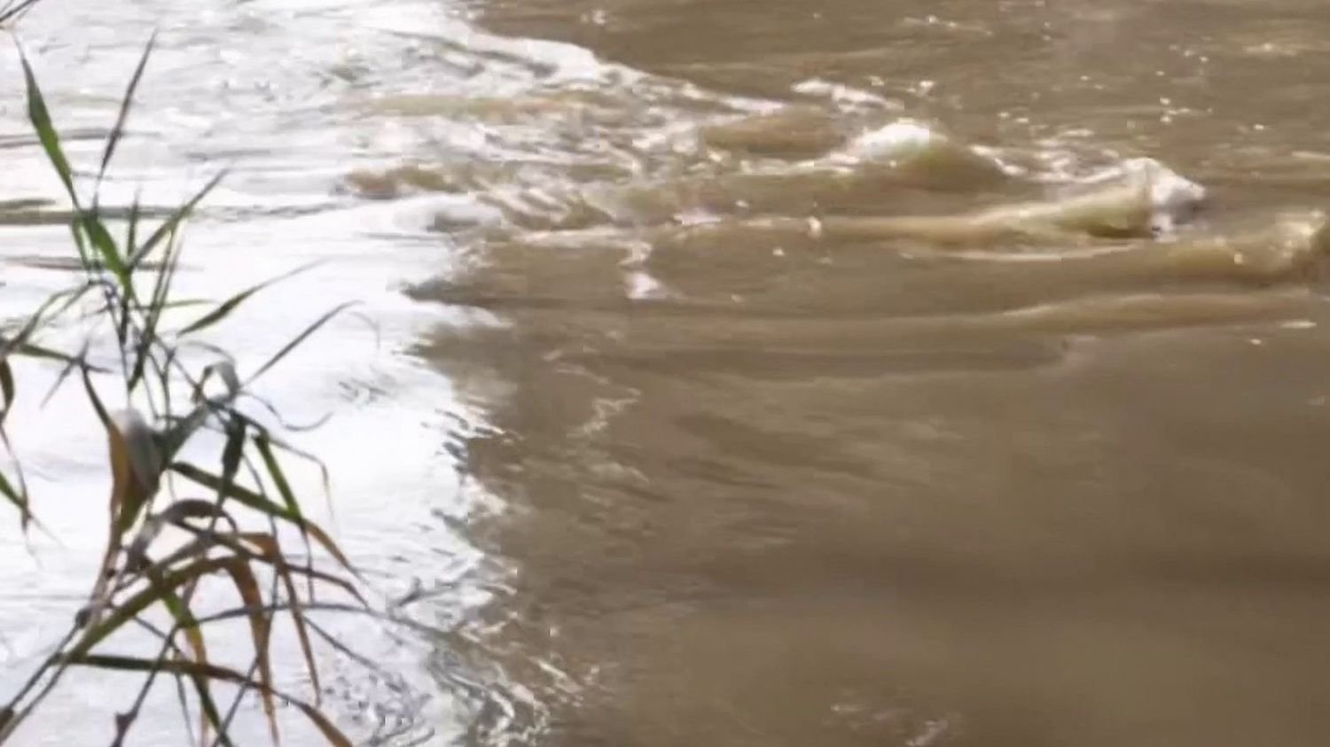 Pyrénées-Orientales : pluies abondantes dans le département