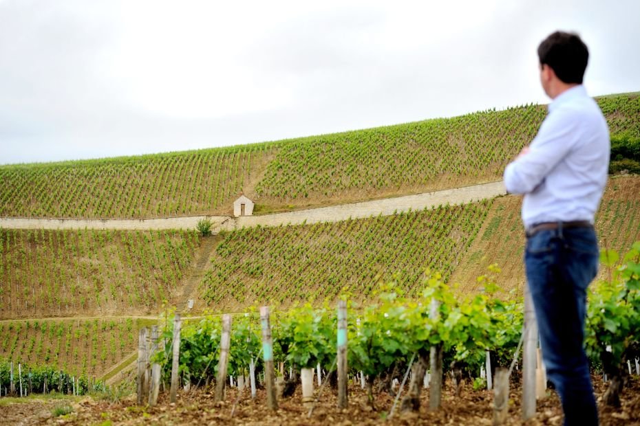 Donald Trump aura-t-il la peau des vignerons de Bourgogne ? Une taxe de 25% serait « une très mauvaise nouvelle »