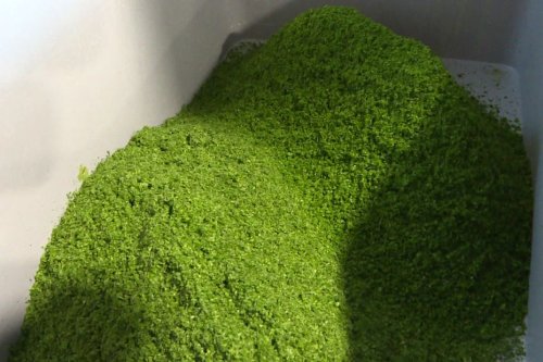 VIDEO. Des algues vertes recyclables, c'est le pari d'une entreprise des Bouches-du-Rhône