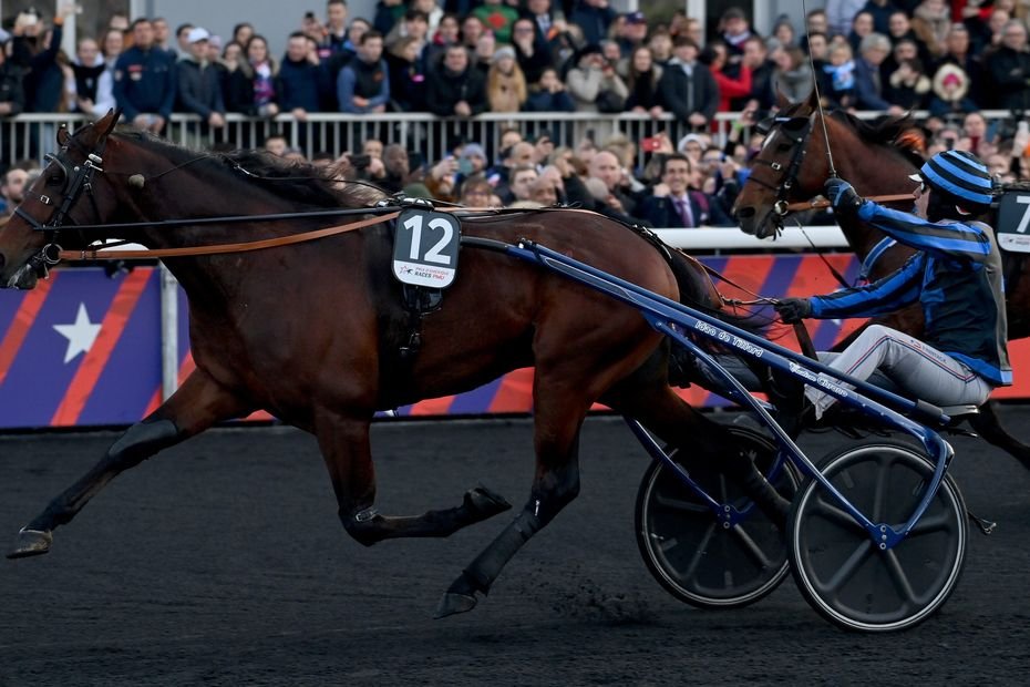 Blessé, le crack Idao de Tillard non-partant au Prix de France