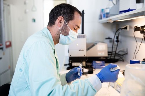 Covid-19 : le laboratoire nantais Valneva annonce des résultats de phase 3 positifs pour son candidat vaccin