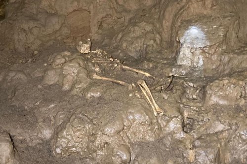 "C'est une découverte unique", une équipe de chercheurs mène des tests ADN sur des ossements vieux de 5000 ans