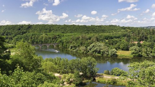 Un père condamné à 18 mois de prison avec sursis pour avoir blessé son enfant après avoir tenté de l'abandonner en forêt