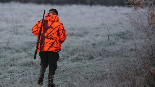 VRAIOUFAKE. Les chasseurs français tuent-ils 21 millions d'animaux par an ?