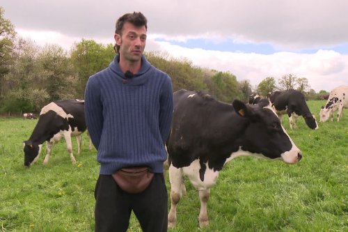 "80 000 euros de trous dans la trésorerie et c’est à cause d’une erreur de l’État" : nouvelle mobilisation pour l'agriculteur victime d'une erreur de diagnostic de tuberculose bovine