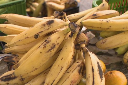 Les bananes plantains de Martinique restent "sous surveillance sanitaire", après une contamination à l’éthéphon en 2022