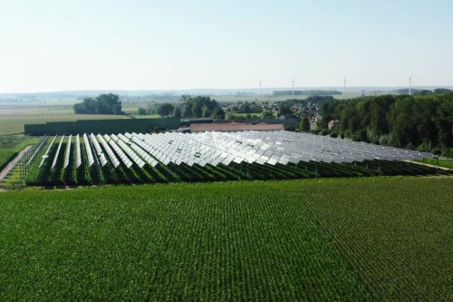 "Cultiver des grandes cultures tout en produisant de l’énergie" : on vous explique ce qu'est une centrale agrivoltaïque