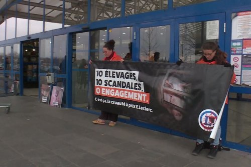 Vidéo choc de l'association L214 montrant des animaux en cage, opérations devant les supermarchés Leclerc