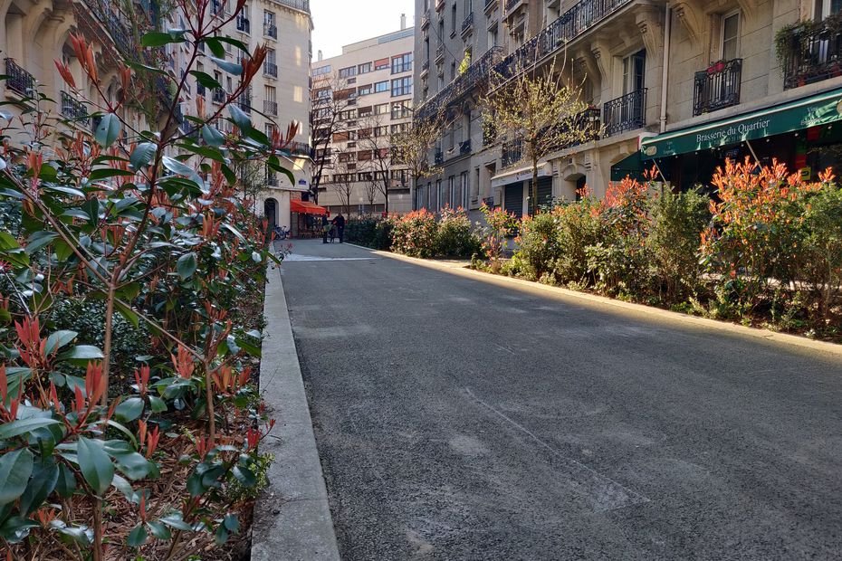 Votation citoyenne : à quoi pourraient ressembler 500 nouvelles rues végétalisées et piétonnes à Paris ?