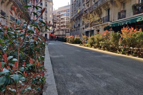 Votation citoyenne : à quoi pourraient ressembler 500 nouvelles rues végétalisées et piétonnes à Paris ?