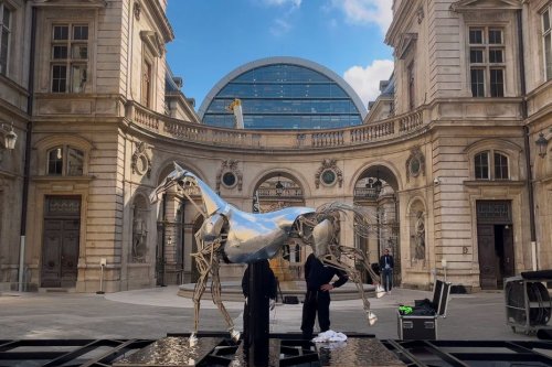 Zeus, le cheval des JO s'installe à Lyon