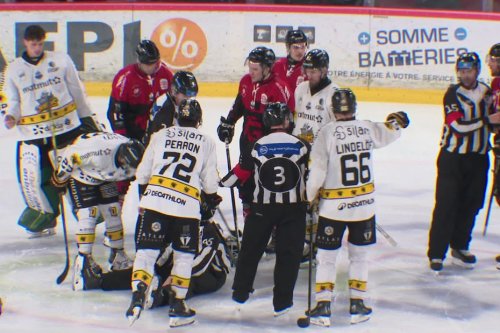 Sanction revue à la baisse pour le joueur des Gothiques Josh Brittain accusé d'avoir fait tomber un arbitre : "les images parlaient d'elles-mêmes"