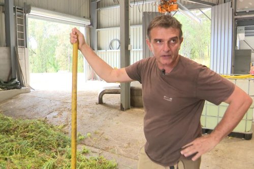 Un agriculteur tué par balles à Sarrola-Carcopino