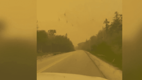 Canada : des feux de forêts énormes en Nouvelle-Ecosse