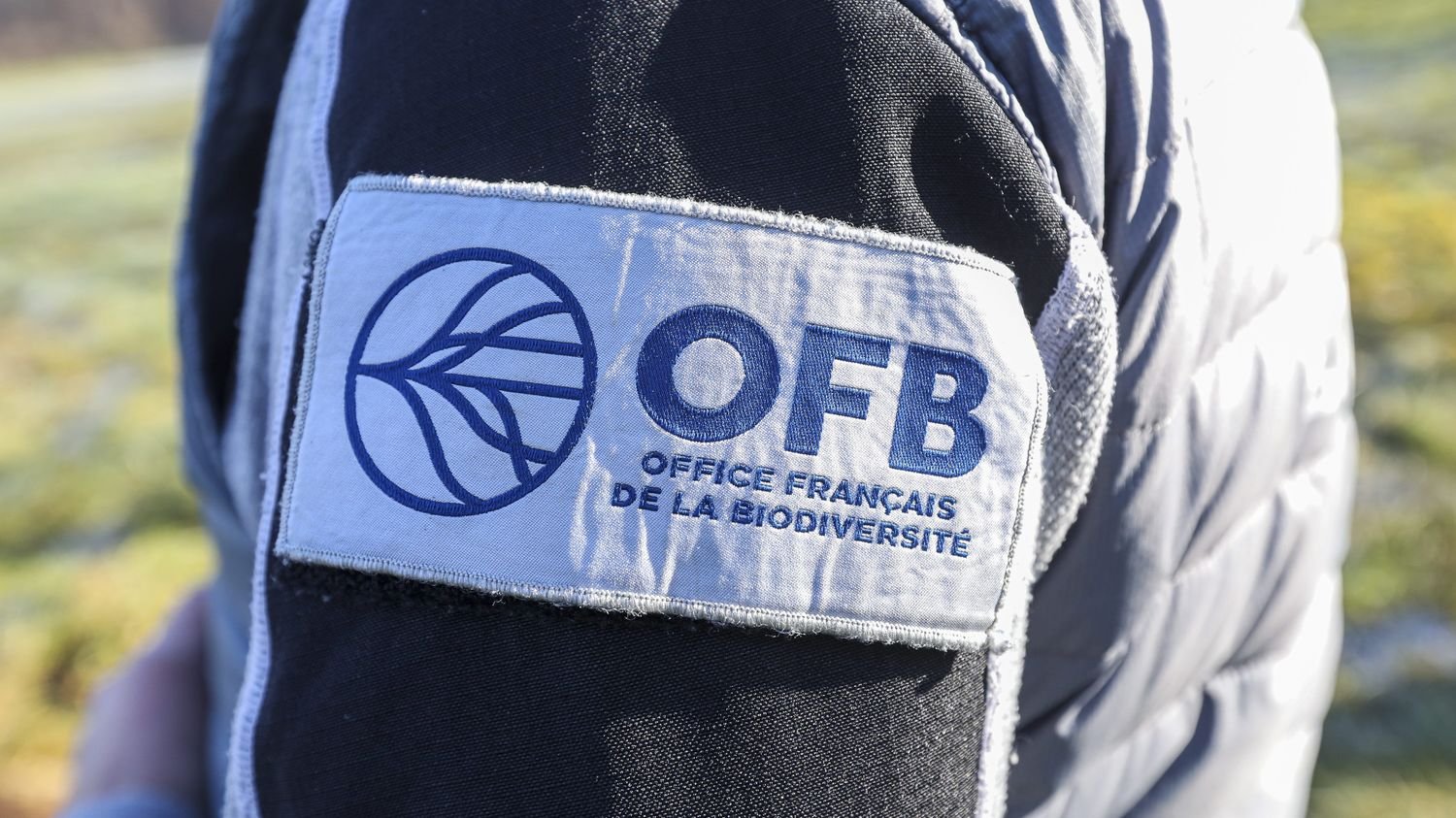 Agriculteurs comparés à « des dealers » : les tensions entre syndicats d’agriculteurs et l’Office de la biodiversité continuent de s’aggraver