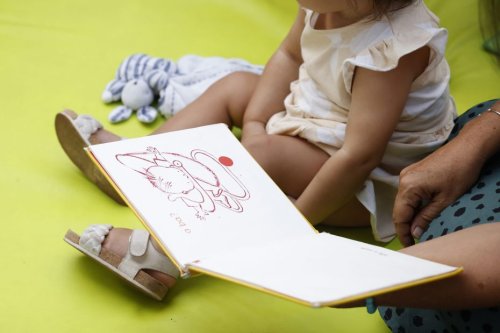 Une assistante familiale conserve la garde de l'enfant que le Conseil départemental voulait lui enlever, une première victoire avant le combat pour l'adoption