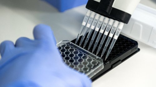 Reportage Cancer du sein : les oncologues confirment les résultats prometteurs des anticorps conjugués