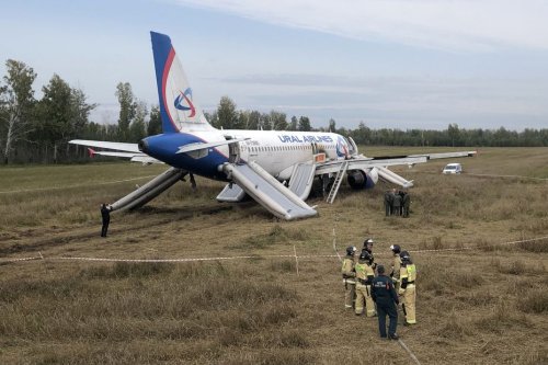 Airbus A320 bloqué dans un champ en Russie : des responsables de la sécurité des vols pourraient être licenciés