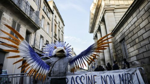 Procès des militants anti-bassines" de Sainte-Soline : six à douze mois de prison avec sursis requis pour les leaders des manifestations