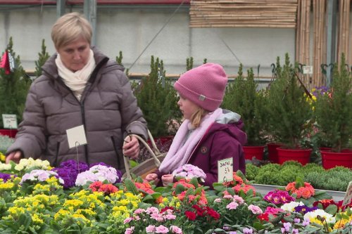 Les horticulteurs préparent l'été, et se souviennent du confinement du printemps 2020