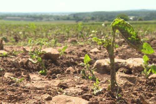 Sarthe : de gros dégâts après l'orage de ce vendredi matin