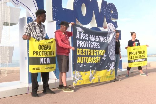A Nice, Greenpeace demande une meilleure protection des aires marines protégées