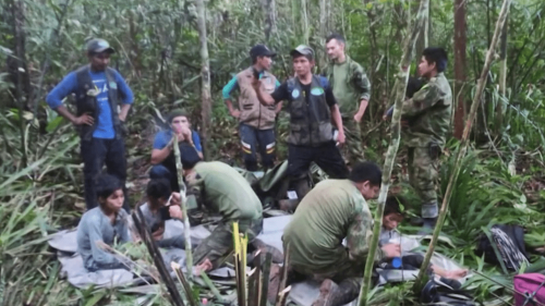 Colombie : 40 jours après un crash d’avion, quatre enfants ont été retrouvés