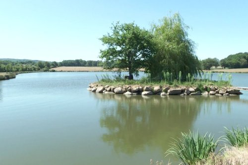 Sécheresse : les propriétaires d’étangs de la Haute-vienne sont très inquiets