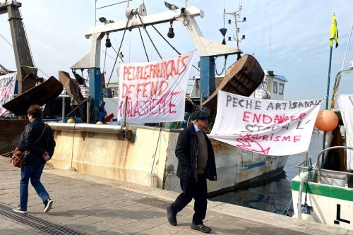 A Marseille, les marins-pêcheurs dénoncent l'interdiction de la pêche de fond dans les aires marines protégées