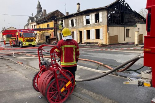 Un pompier en urgence absolue et sa femme blessée dans l'incendie de leur maison, leurs cinq chats Maine Coon retrouvés morts