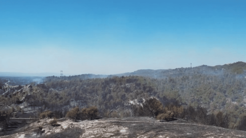 Bouches-du-Rhône : après avoir brûlé l'été dernier, le massif de la Montagnette encore fermé pour un an