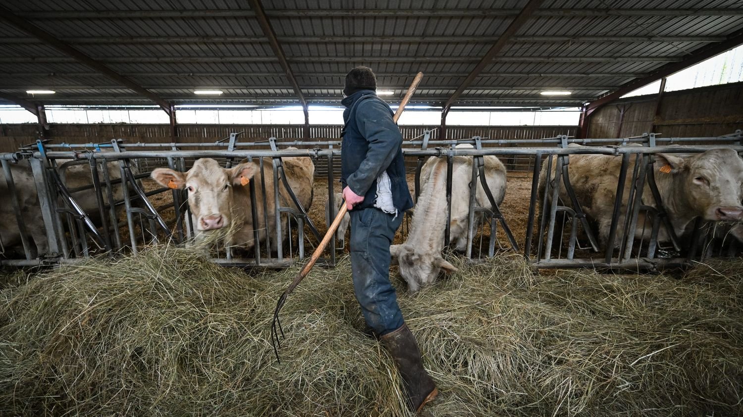 À quelles pathologies les agriculteurs sont-ils particulièrement exposés ?