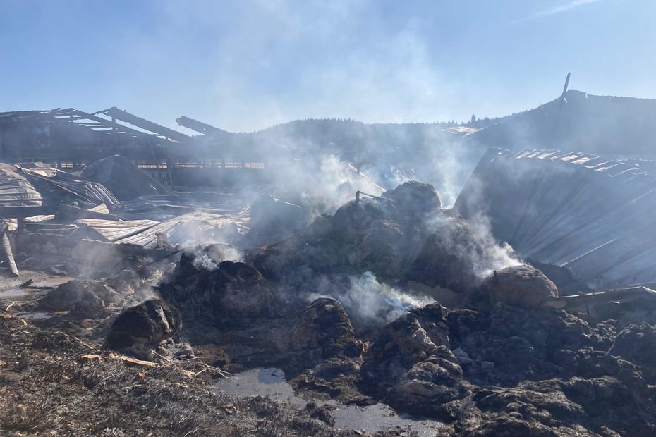 Une ferme ravagée par les flammes, 21 animaux morts : sous le ciel bleu, un spectacle de désolation